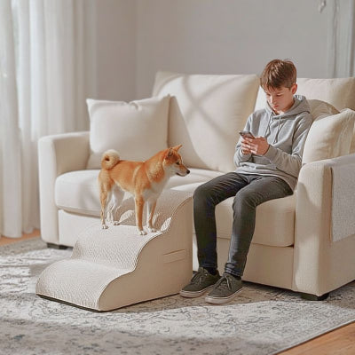 Shiba inu sur un escalier chien Pachou beige antidérapant