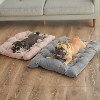 shnauzer et bouledogue sur coussin chien anti-stress 3 en 1