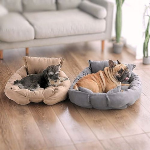 shnauzer et bouledogue sur coussin chien antidérapant 3 en 1