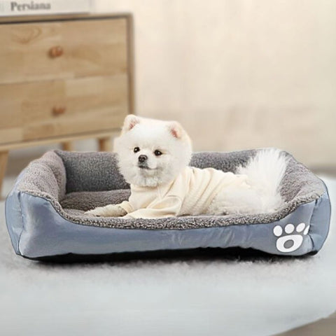 splitz allongé dans couchage chien gris cozy