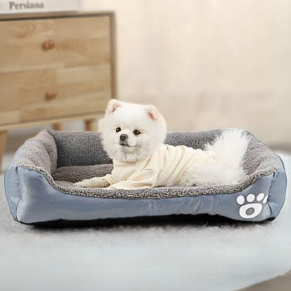 splitz allongé dans couchage chien gris cozy