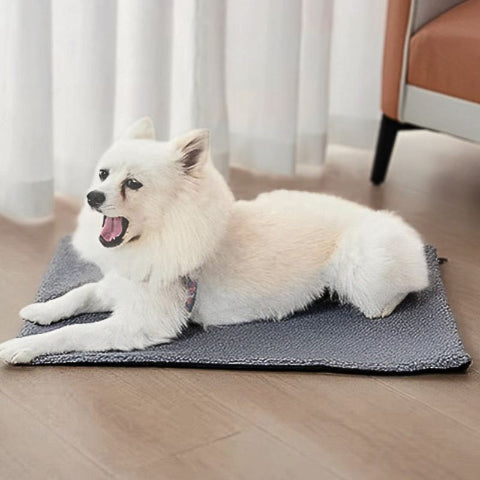 spitz allongé sur tapis pour chien gris fonce thermique