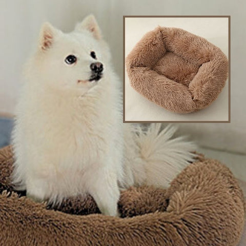 spitz assis sur coussin pour chien marron clair peluche douce
