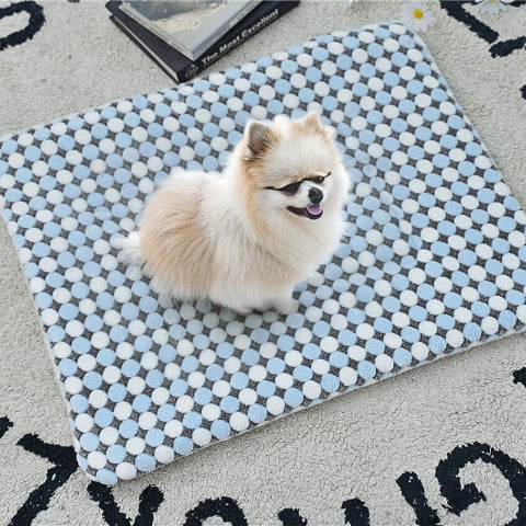 spitz assis sur tapis pour chien bleu clair moelleux