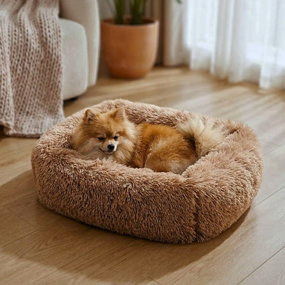 spitz couché sur coussin pour chien marron peluche douce