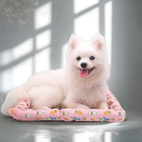 spitz japonais allongé sur tapis pour chien rafraichissant moderne rotini