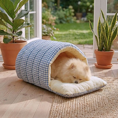 spitz nain assoupi dans grotte pour chien carreautin bleue 