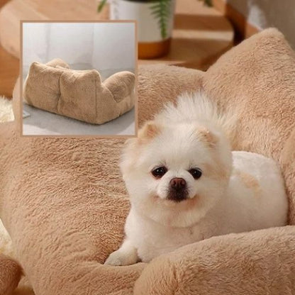 spitz nain couché dans panier à chien marron canapé