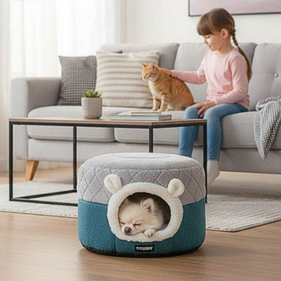 spitz nain couché dans panier grotte pour chien tampi respirant 