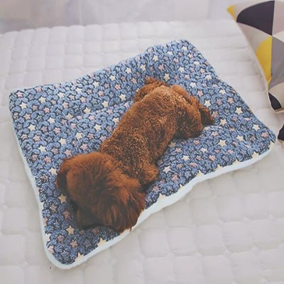 caniche endormi sur tapis chien bleu étoilé durable et rembourré de coton pp