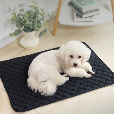 bichon maltais couché sur un tapis chien noir lavable en machine et réutilisable