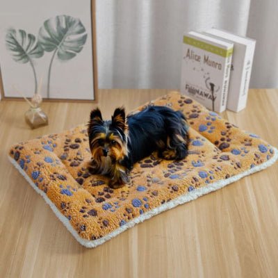 yorkshire terrier allongé sur un tapis chien marron et pattes pour 4 saisons