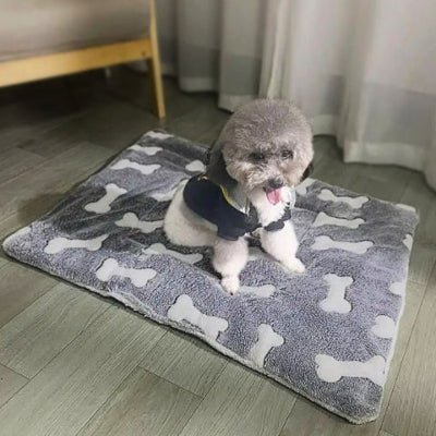 bichon frisé assis sur un tapis chien noir et os lavable et réutilisable