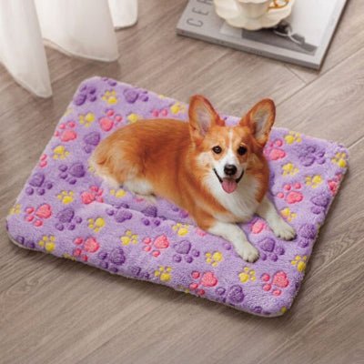corgi allongé sur un tapis chien violet et pattes adapté aux cages