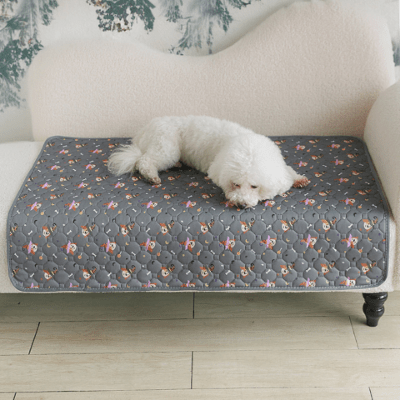 bichon frisé sur tapis pour chien quatrelle gris et magicien avec gel de silice