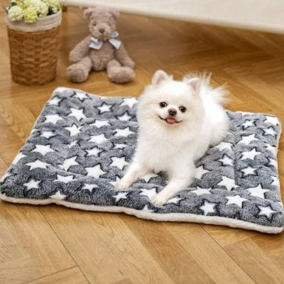 spitz nain sur un tapis pour chien koralis gris foncé étoilé en polaire corail