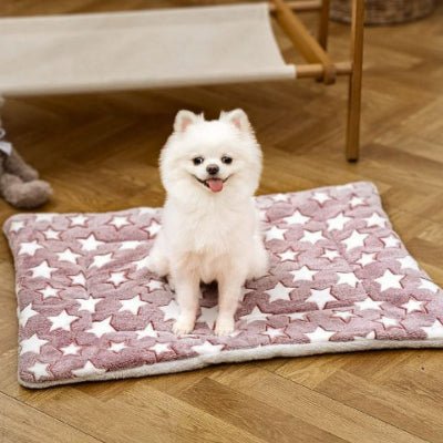 spitz nain assis sur un tapis pour chien koralis rouge étoilé en flanelle douce