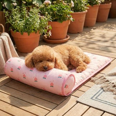 Caniche endormi sur un tapis pour chien rafraichissant Chouchou rose soie glacée