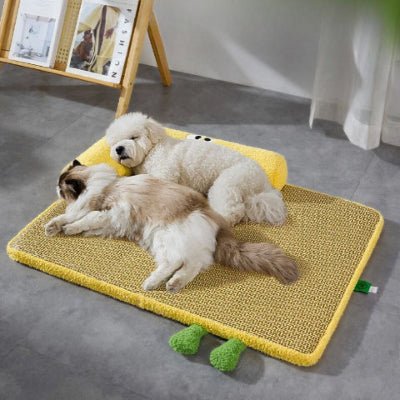 Bichon et chat sur un tapis pour chien rafraichissant Pitagol jaune déhoussable