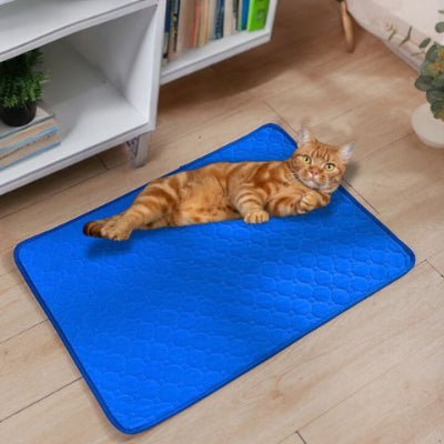 chat allongé sur un tapis pour chien ecovelle bleu respirant et antidérapant