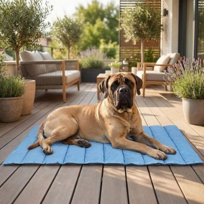 Mastiff allongé sur un tapis rafraichissant chien Aeria bleu Oxford réversible