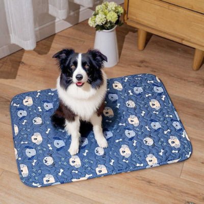 Border collie sur tapis rafraîchissant chien Animos bleu hypoallergénique