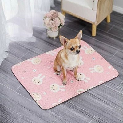 Chihuahua assis sur un tapis rafraichissant chien Animos rose lavable en machine
