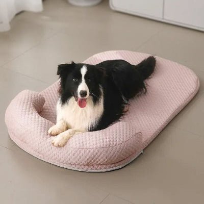 Border collie sur tapis rafraichissant chien Frazi rose déhoussable et lavable
