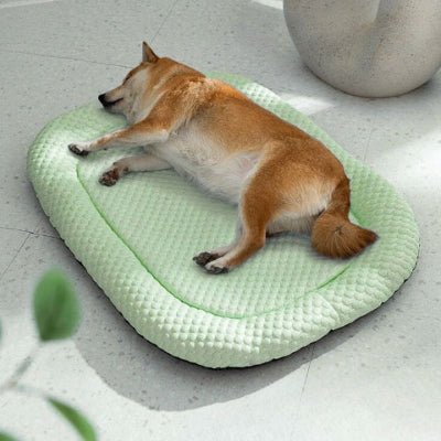 shiba innu allongé sur un tapis rafraichissant chien vert avec tampon éponge