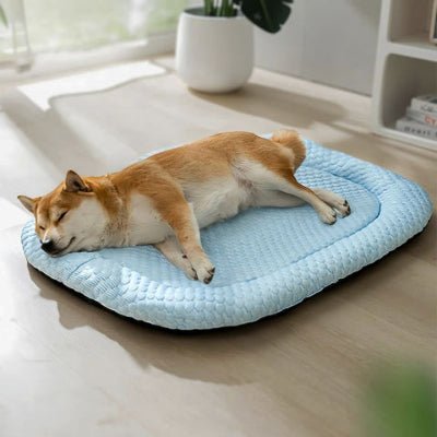 shiba innu allongé sur un tapis rafraichissant chien bleu en soie glacée