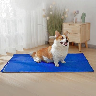 Corgi sur tapis rafraichissant chien Jeltop bleu qui dure jusqu'à 5 heures