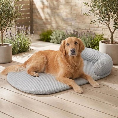 Labrador allongé sur tapis rafraichissant chien Kolos gris avec mousse alvéolée