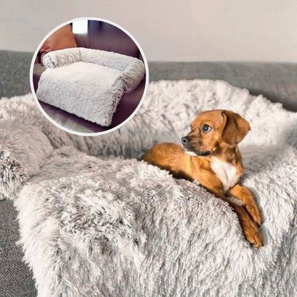teckel allongé dans panier à chien marron clair couvre sofa