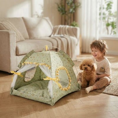 Caniche toy avec enfant près de la tente chien Coconelle verte au design mignon