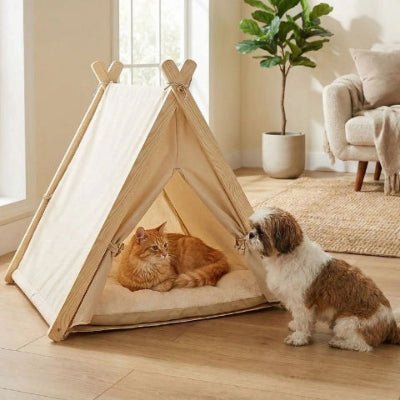 Shih tzu qui regarde un chat couché dans une tente pour chien Tipiou beige