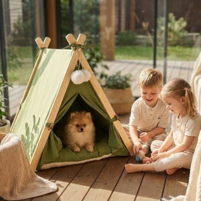 Enfants assis près d'un poméranien couché dans une tente pour chien Tipiou verte