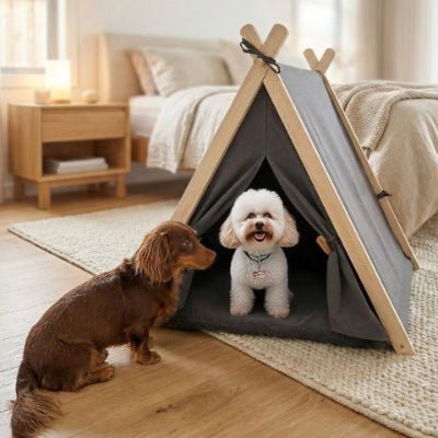 Teckel nain qui regarde un bichon maltais dans une tente pour chien Tipiou grise