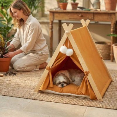 Shih tzu endormi dans une tente pour chien Tipiou orange sécurisante