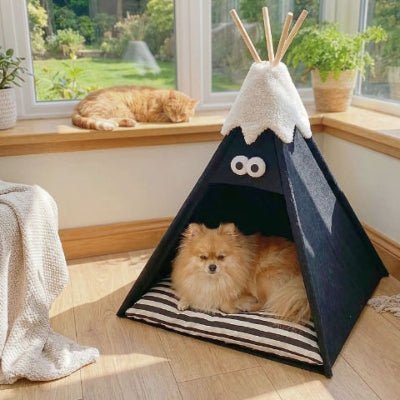 Poméranien couché dans un tipi pour chien Coco refuge douillet noir