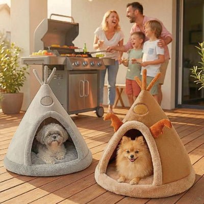 Morkie et poméranien dans tipi pour chien Isko gris et marron sur une terrasse