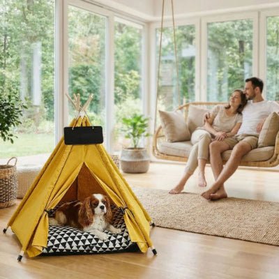 Cavalier king charles couché dans un tipi pour chien Kaya jaune design élégant