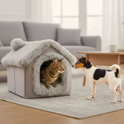 toy fox terrier devant niche pour chien intérieur gris douchalais