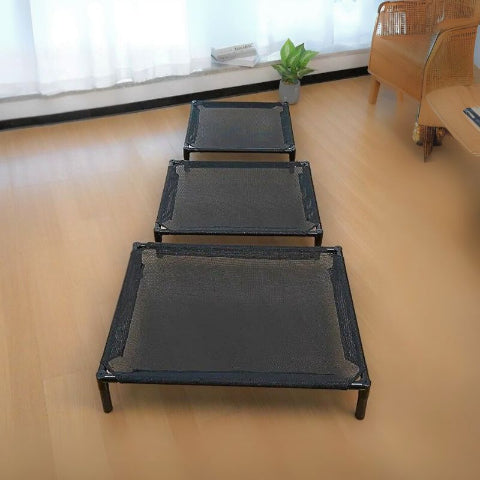 trois lit de camp chien sur plancher salon orthoflex