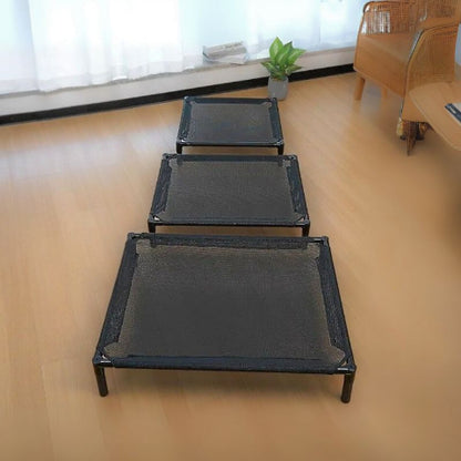 trois lit de camp chien sur plancher salon orthoflex