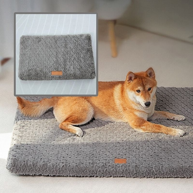 shiba-inu-allonge-sur-un-coussin-pour-chien-rectangulaire-gris-fonce-et-dans-le-coin-superieur-gauche-une-photo-carree-d-un-coussin-rectangulaire-gris-fonce