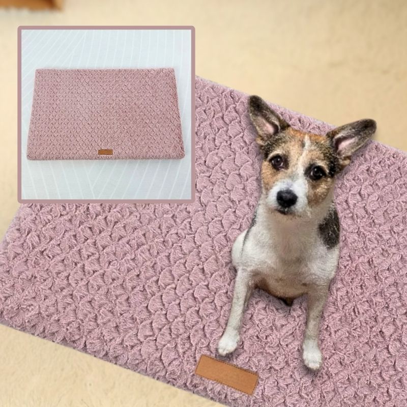 corgi-assis-sur-un-coussin-pour-chien-rectangulaire-rose-regardant-vers-la-camera et-dans-le-coin-superieur-gauche-une-photo-carree-d-un-coussin-rectangulaire-rose