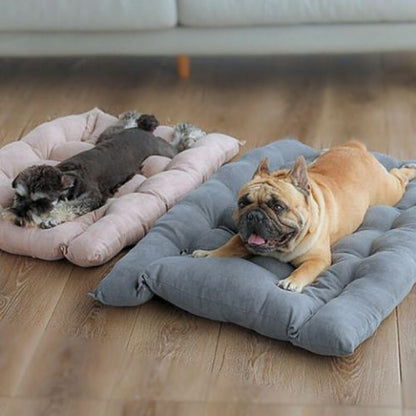 yorkshire allongé sur coussin chien anti stress 3 en 1