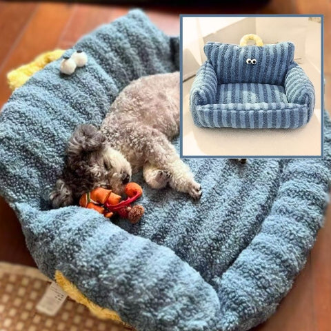 yorkshire allongé sur coussin pour chien bleu canapé