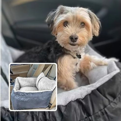 yorkshire assis dans panier chien avec sangle ajustable voiture