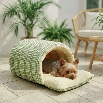 yorkshire terrier allongé dans grotte pour chien carreautin verte 